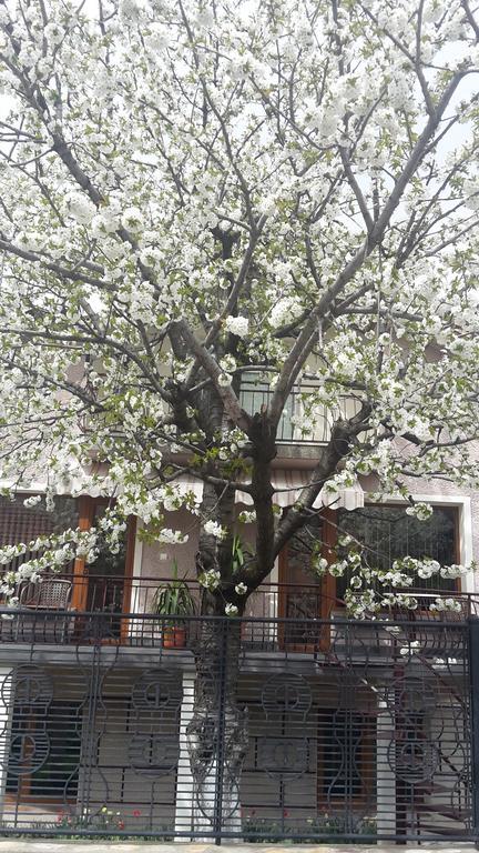 Kyurkchievi Guest House Sapareva Banya Exterior photo