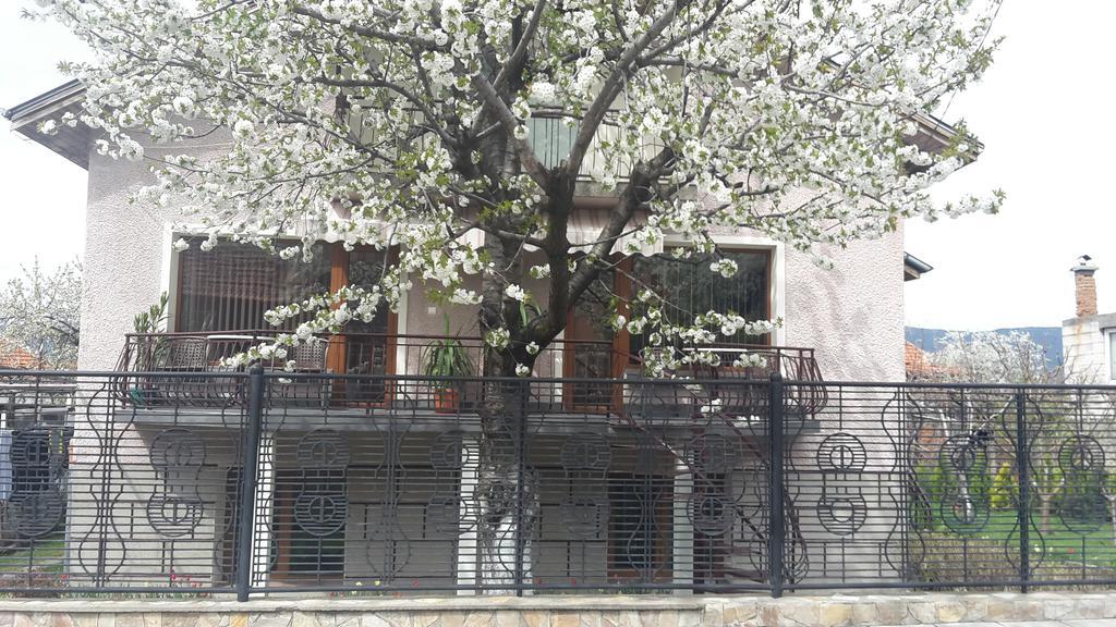 Kyurkchievi Guest House Sapareva Banya Exterior photo